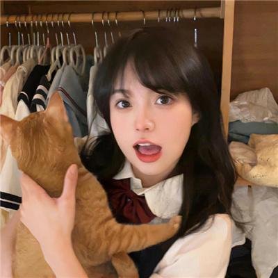 超完美社区